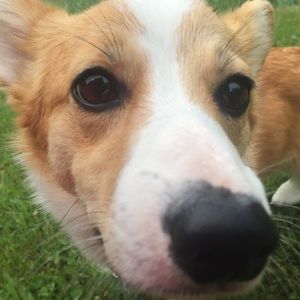 Meet your Posher, Emma